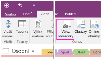 Snímek obrazovky s tlačítkem Vložit výřez obrazovky v OneNotu 2016.