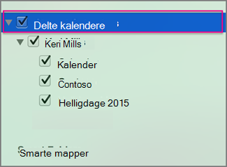 Delte kalendere