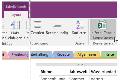 Screenshot der Schaltfläche "In Excel-Tabelle konvertieren" in OneNote 2016