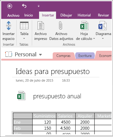 Captura de pantalla de una hoja de cálculo incrustada en OneNote 2016.