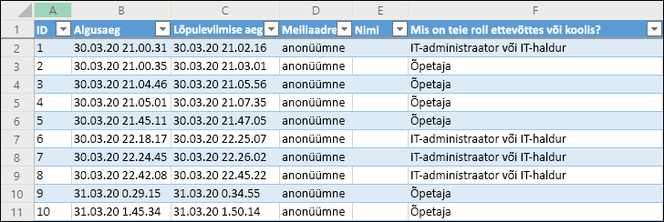 Küsitluse tulemeid kuvav Exceli töövihik