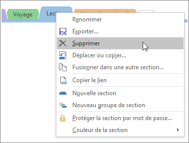 Screenshot of how to delete a section in OneNote 2016.