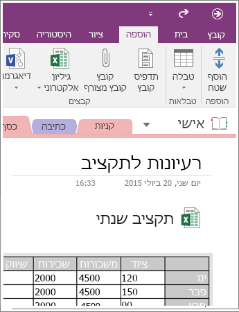 צילום מסך של גיליון אלקטרוני מוטבע ב- OneNote 2016.