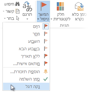 הפקודה 'נקה דגל' ברצועת הכלים