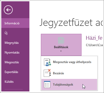 . A OneNote legújabb verziójára közvetlenül a Fájl menüből frissíthet.