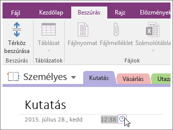 Képernyőkép arról, hogy miként módosíthatja egy lap időbélyegzőjét a OneNote 2016-ban