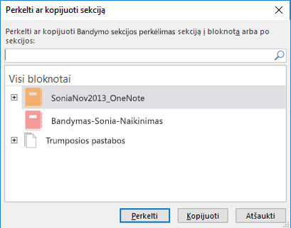 „OneNote for Windows 2016“ perkėlimo arba kopijavimo skyriaus dialogo langas