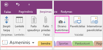 Ekrano iškarpos įterpimo  mygtuko programoje „OneNote 2016“ ekrano nuotrauka