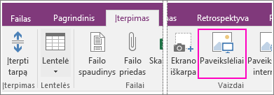 Mygtuko Įterpti paveikslėlį programoje „OneNote 2016“ ekrano nuotrauka