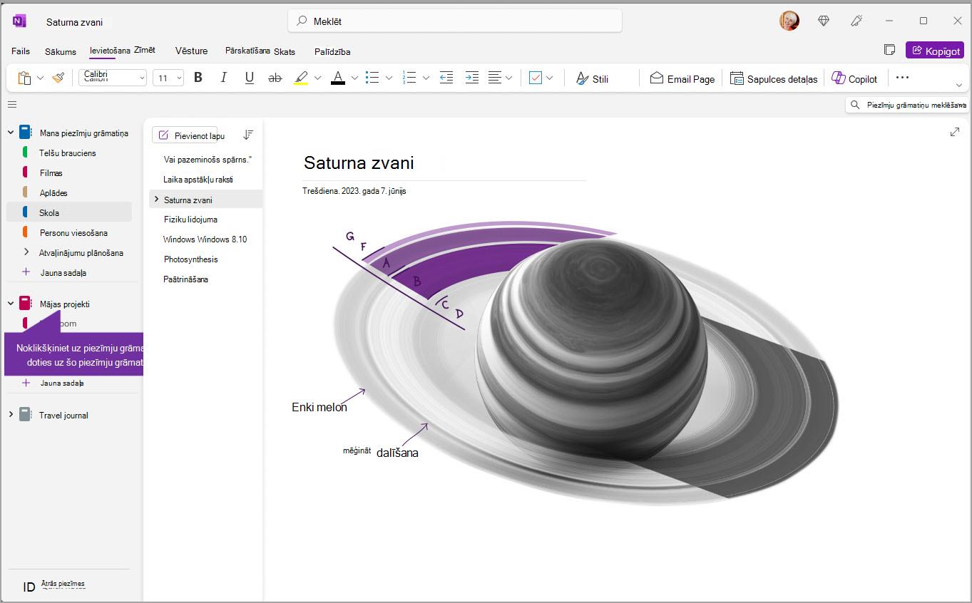 pārlūkot OneNote ekrānuzņēmumu twenty one version two.jpg