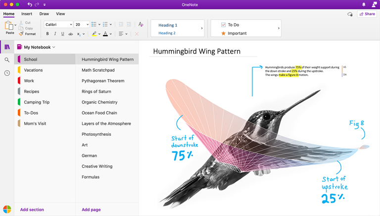 Ekrānuzņēmums OneNote darbam ar Mac