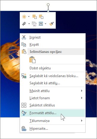 Ekrānuzņēmums, kurā redzamas opcijas Formatēt attēlu programmā Publisher.