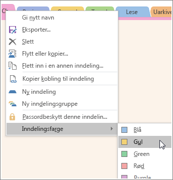 Skjermbilde av hvordan du endrer en inndelingsfarge i OneNote 2016.