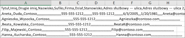 Przykład pliku csv zapisanego w formacie xls.