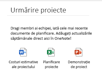 Fișierele încorporate pe o pagină din OneNote pentru Windows 10