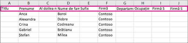 Iată cum arată fișierul .csv eșantion în Excel.