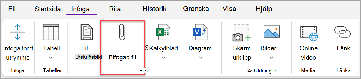 skärmbild av grundläggande uppgifter ten.png