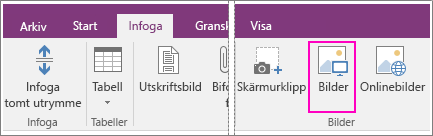 Skärmbild av knappen Infoga bilder i OneNote 2016.