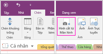 Ảnh chụp màn hình của nút Chèn Hình cắt từ Màn hình trong OneNote 2016