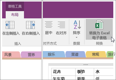 OneNote 2016 中的“转换为 Excel 电子表格”按钮的屏幕截图。