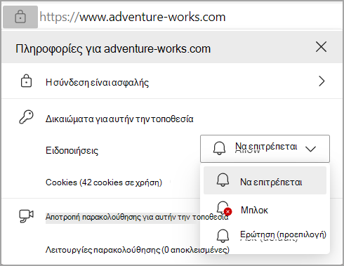 Εικόνα που εμφανίζει τα δικαιώματα ειδοποιήσεων στη γραμμή διευθύνσεων του προγράμματος περιήγησης Edge.