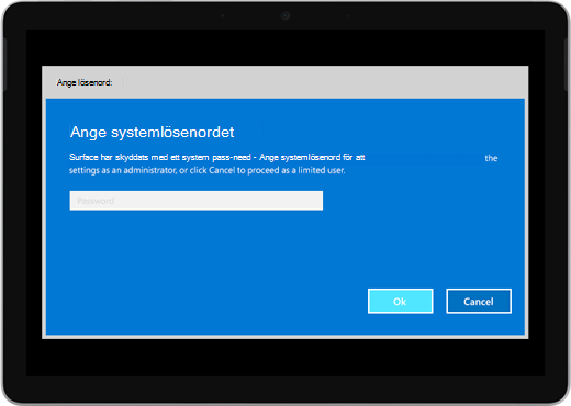 Visar en blå skärm där det står "Ange systemlösenordet". Det finns en ruta där du kan ange lösenordet och nedanför det finns knapparna OK och Avbryt.