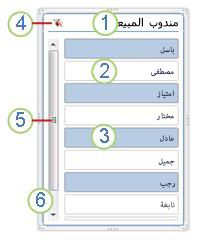 عناصر مقسم طريقة عرض PivotTable