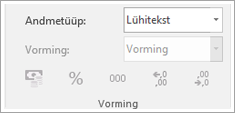 Screen snippet showing data type field