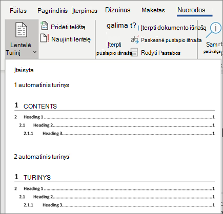 Turinys programoje "Word"