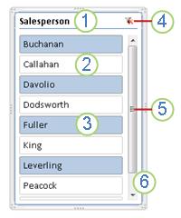 PivotTable slicer elements