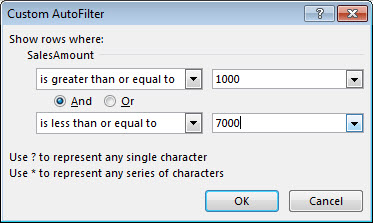 Custom AutoFilter dialog box