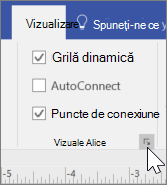 Captură de ecran a opțiunilor vizualizare cu Grilă dinamică și Puncte de conexiune selectate