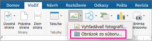 Karta Vložiť so zvýraznenou možnosťou Obrázok zo súboru.