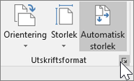 Skärmbild av verktygsfältet Utskriftsformat med Automatisk storlek markerat