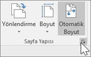 Otomatik Boyut seçeneği belirtilmiş Sayfa Yapısı araç çubuğunun ekran görüntüsü
