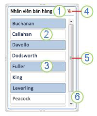 Các thành phần slicer của PivotTable