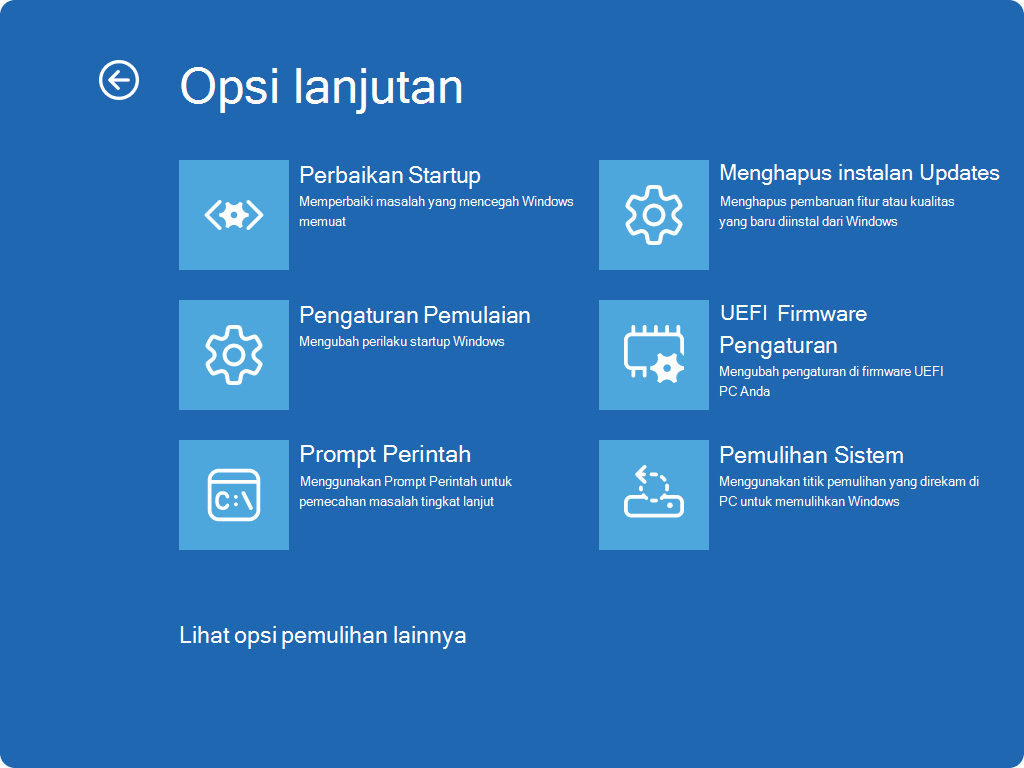 Cuplikan layar Windows RE - Layar opsi tingkat lanjut.