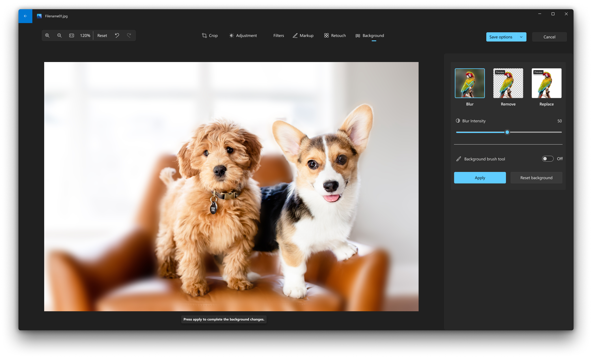 Two dogs standing on top of a chair. The chair and the rest of the background are blurred, but dogs are not.