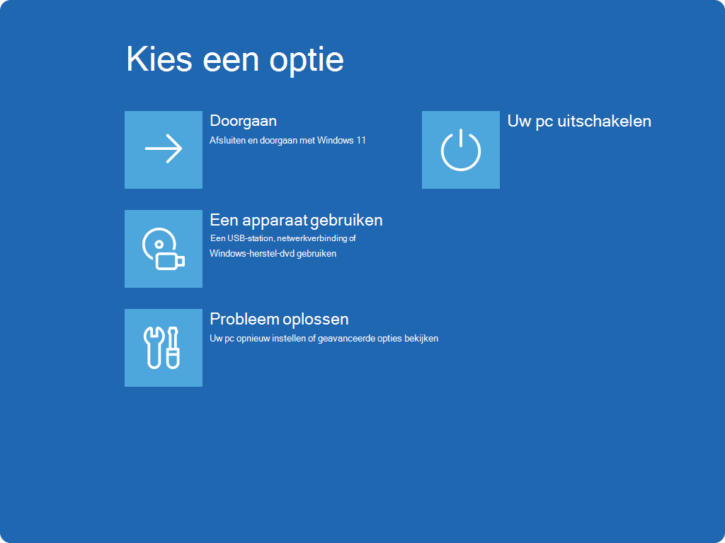 Schermopname van het scherm Kies een optie in Windows RE.