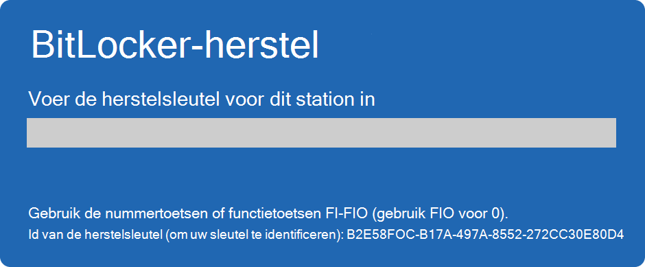 Schermopname van het bitLocker-herstelscherm.