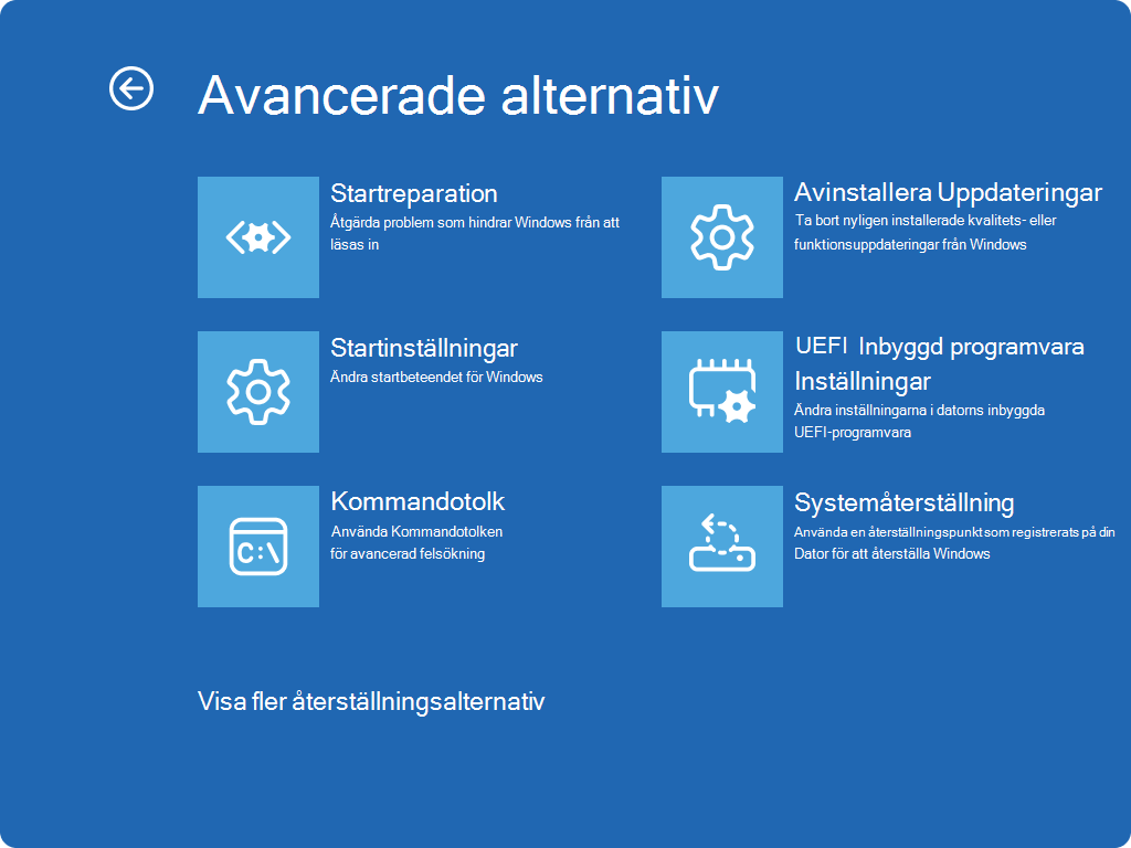 Skärmbild av Windows RE – skärmen Avancerade alternativ.