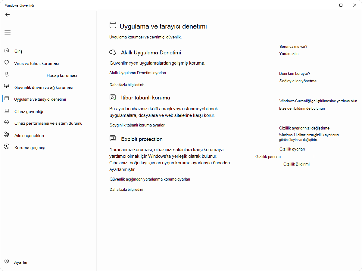 Windows Güvenliği uygulamasının uygulama ve tarayıcı denetim sayfasının ekran görüntüsü.
