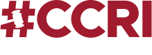 Cyber Civil Rights Initiative