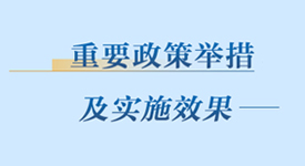 重要政策举措及实施效果