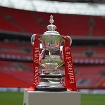 Shiny Emirates FA cup trophy on empty football field