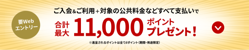 要Webエントリー ご入会&ご利用＋対象の公共料金などすべて支払いで合計最大11,000ポイントプレゼント! ※進呈されるポイントは全てdポイント(期間・用途限定)