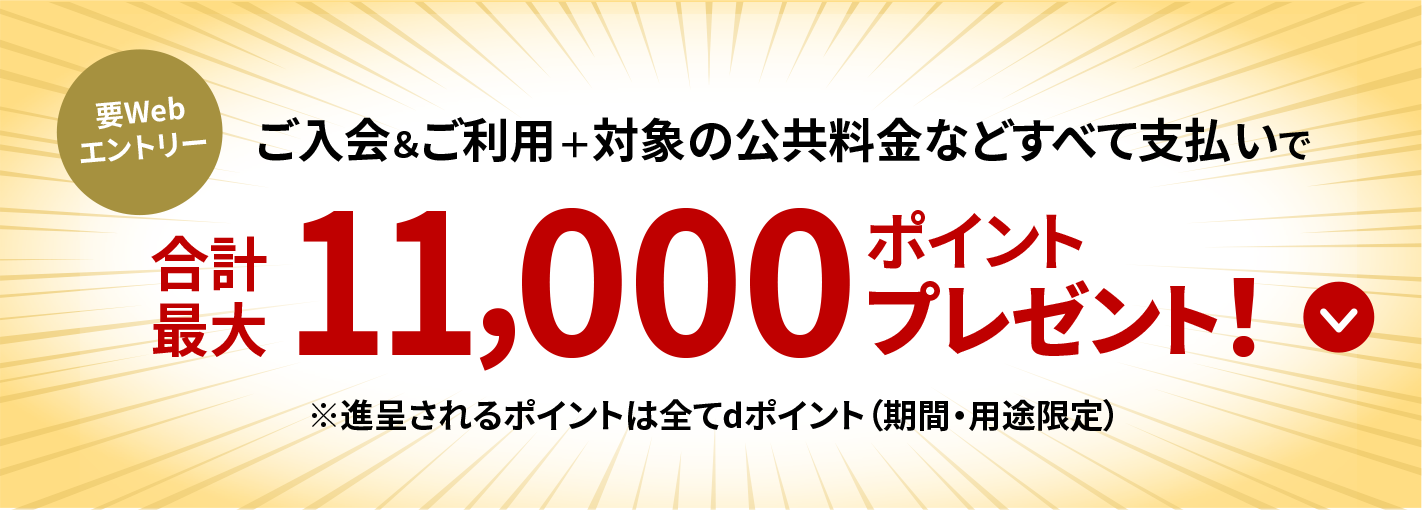 要Webエントリー ご入会&ご利用＋対象の公共料金などすべて支払いで合計最大11,000ポイントプレゼント! ※進呈されるポイントは全てdポイント(期間・用途限定)