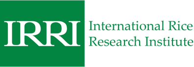 International Rice Research Institute (IRRI)