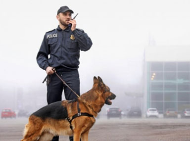 Police officer using a walkie-talkie and standing with a k-9 police dog