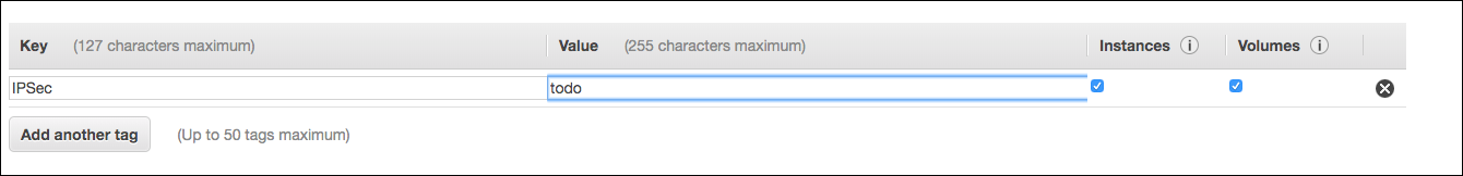 Figure 3: Set the tag name to "IPSec" with the value "todo"